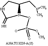 A diagram of anatoxin-a(s)