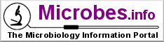 Microbes.Info Logo